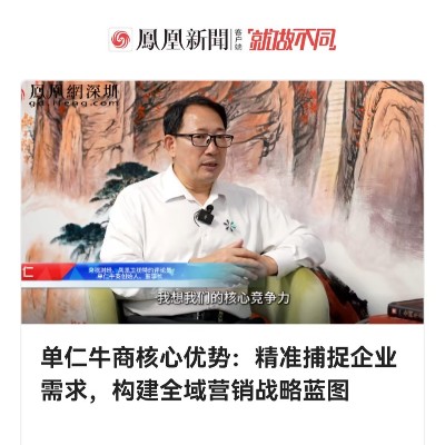 單仁牛商核心優(yōu)勢(shì)：精準(zhǔn)捕捉企業(yè)需求，構(gòu)建全域營(yíng)銷(xiāo)戰(zhàn)略藍(lán)圖